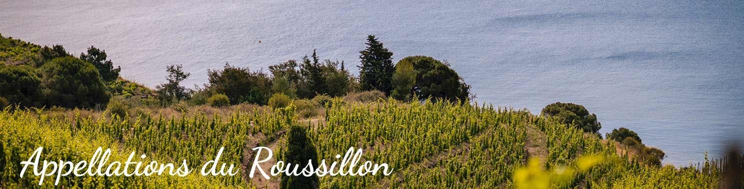 Le vignoble du Roussillon, vins doux et vins secs à découvrir