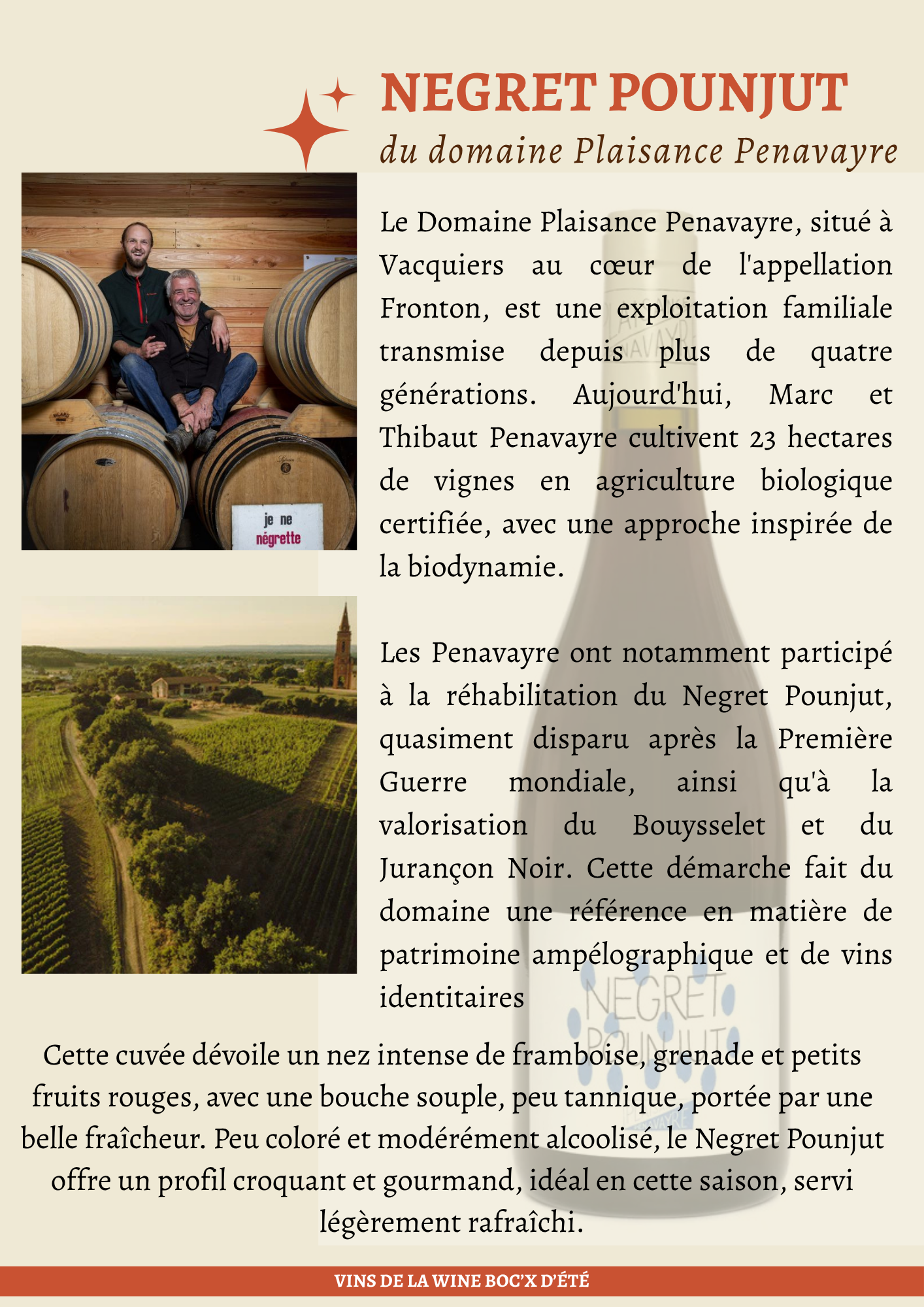 Cuvée Negret Pounjut– Domaine Plaisance Penavayre – Vin de France