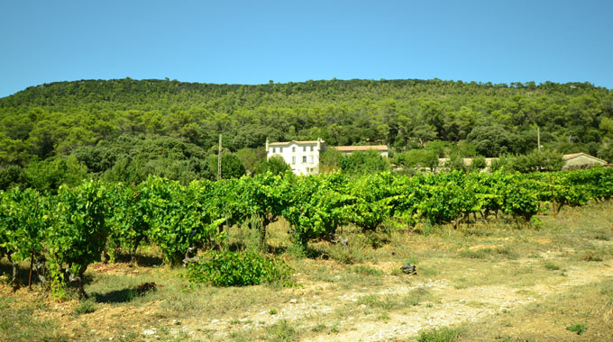 Vignerons du Château Del ranq