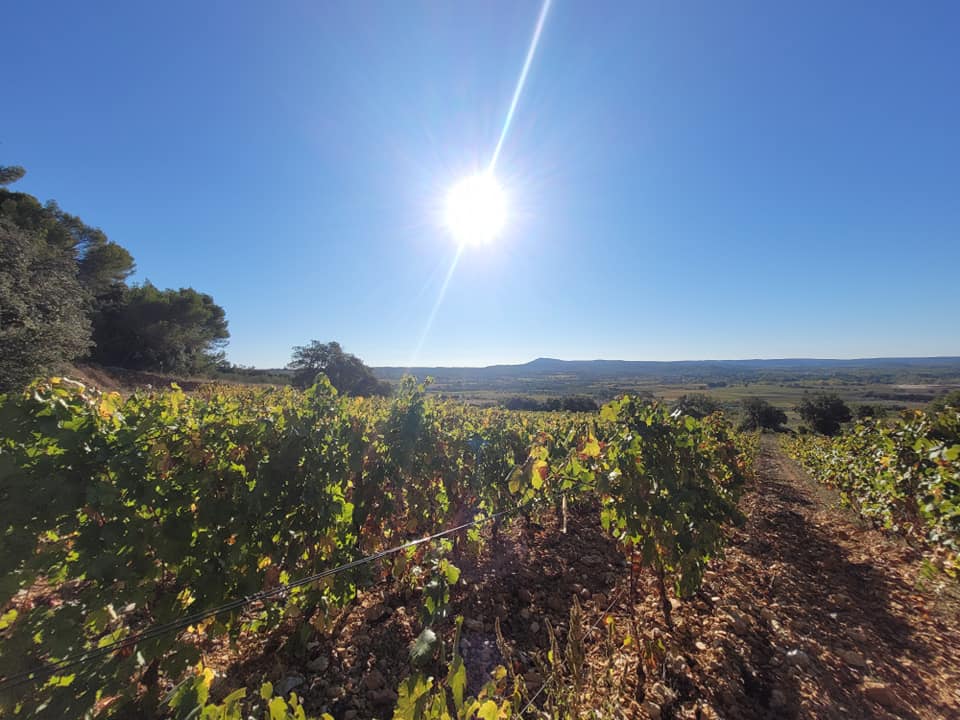 Domaine Les Hautes Terres en AOP Limoux
