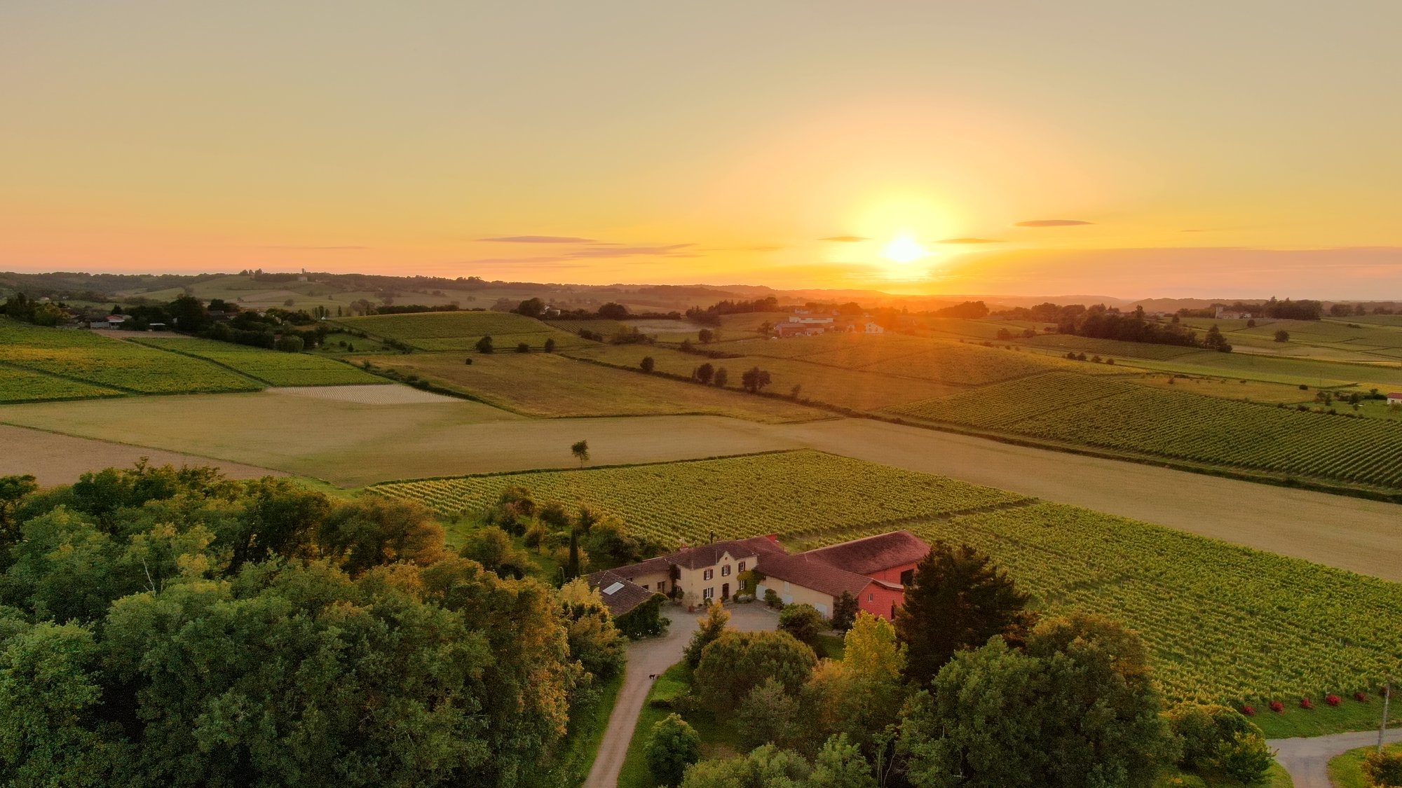 Domaine Labranche Laffont en AOP Madiran