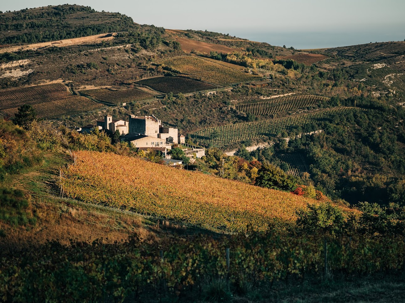 Domaine Les Hautes Terres en AOP Limoux