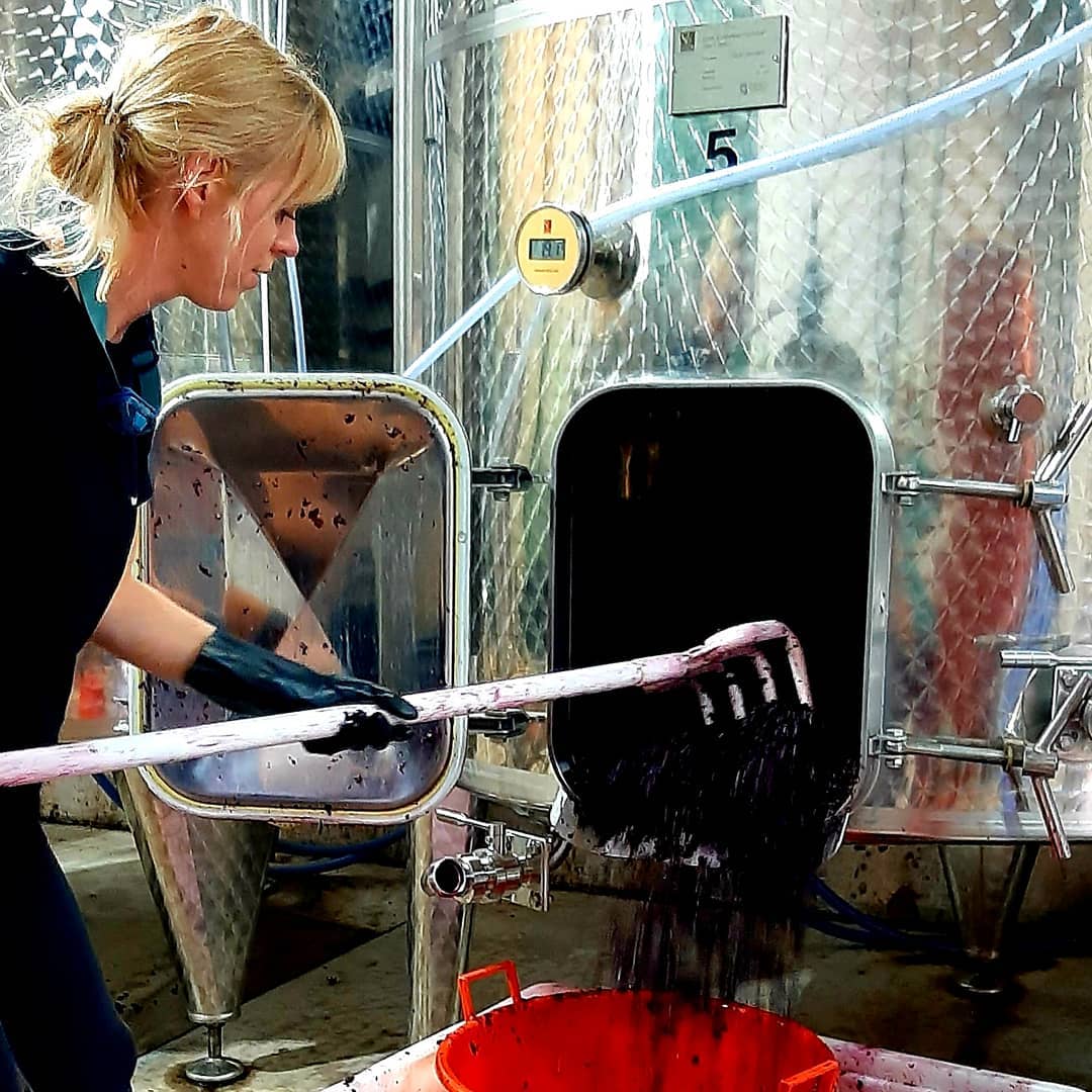 Chai du domaine Les Hautes Terres en AOP Limoux