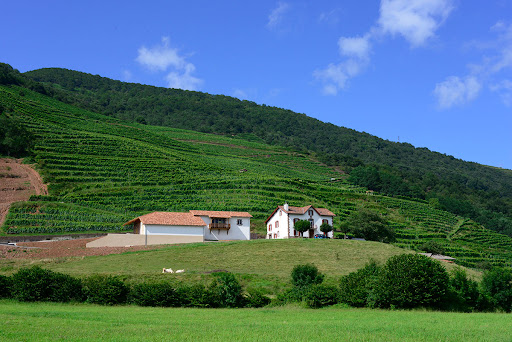 Chai du Domaine La Croix Gratiot, vins Picpoul de pinet