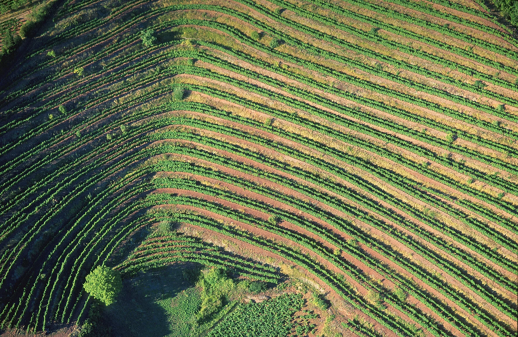 Terroir des vins aveyronnais, Marcillac