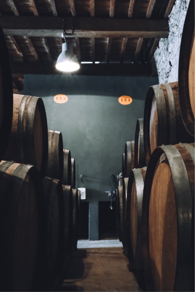 Chai du domaine Les Hautes Terres en AOP Limoux